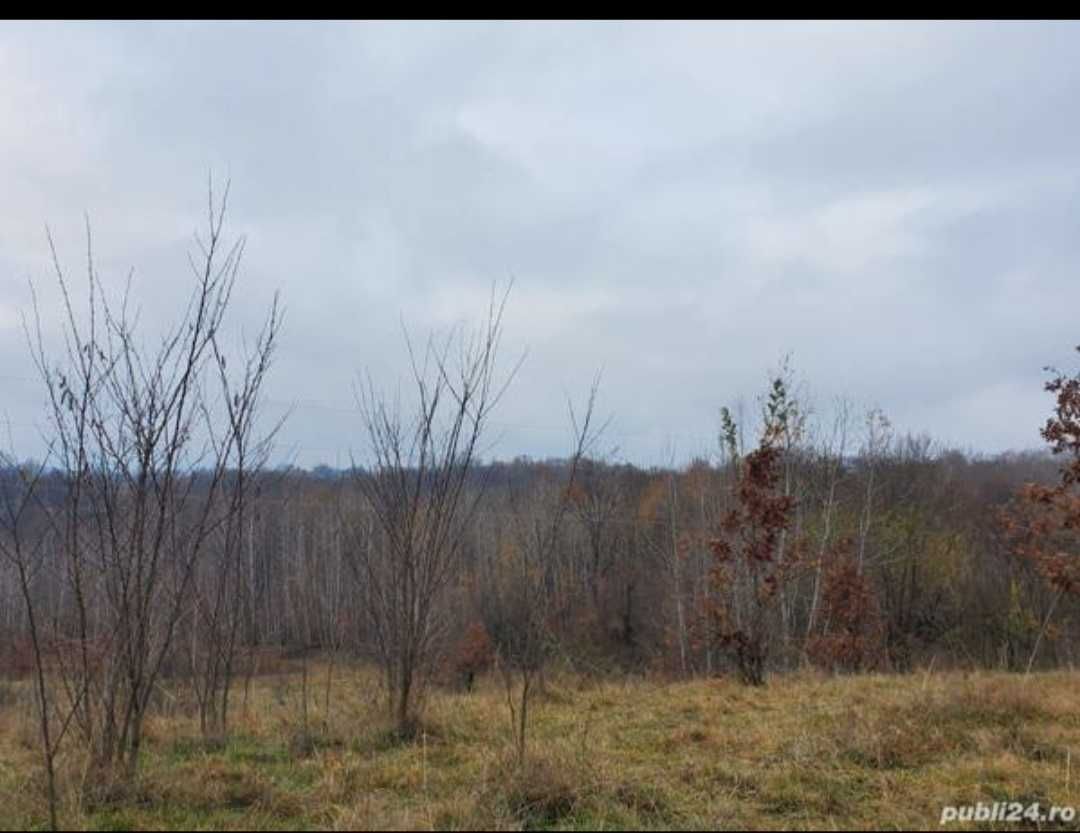 Vand Teren  10,750 m2