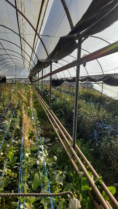 40tali sergeli yengi 21mindan 2400m