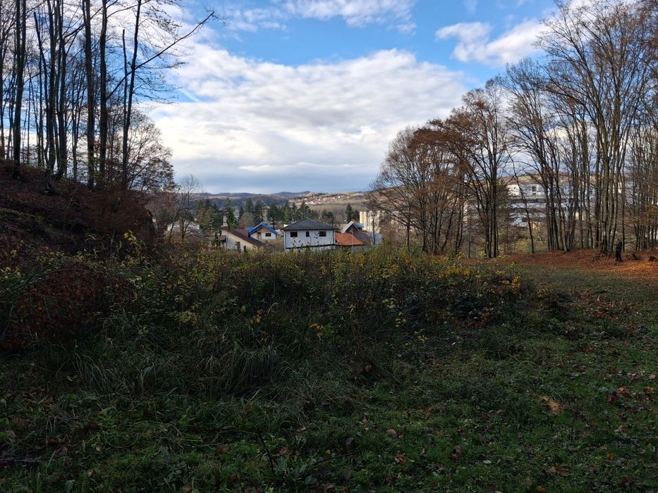 Teren intravilan 409 mp + 5000 mp pădure la intrare în Curtea de Argeș