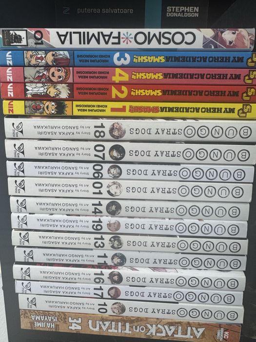 Manga - Bungo Stray dogs