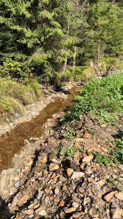Teren,500mp, Vatra Dornei, langa telescaun, asfalt, zona deosebita