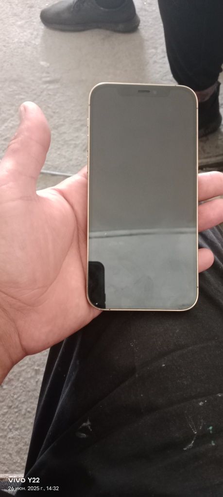 Iphone 12 pro ideal