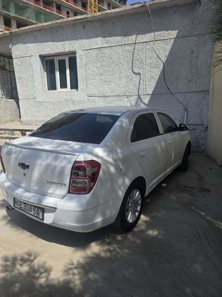 Cobalt 2019 radnoy