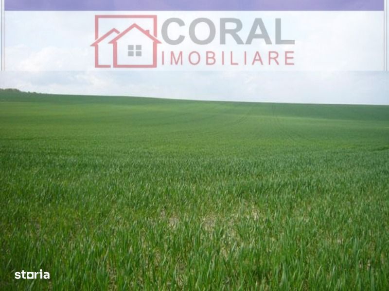 De vanzare teren intravilan Bocsa Mica Sacaramb