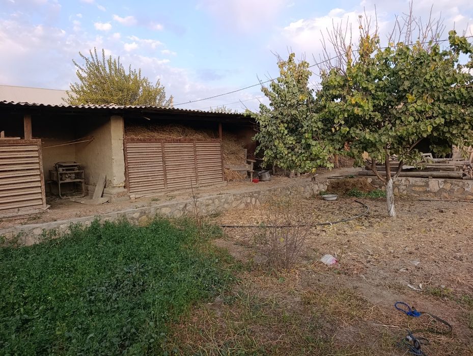 Kogonda 5 sotixlik qurilishi tugallanmagan uy sotiladi...