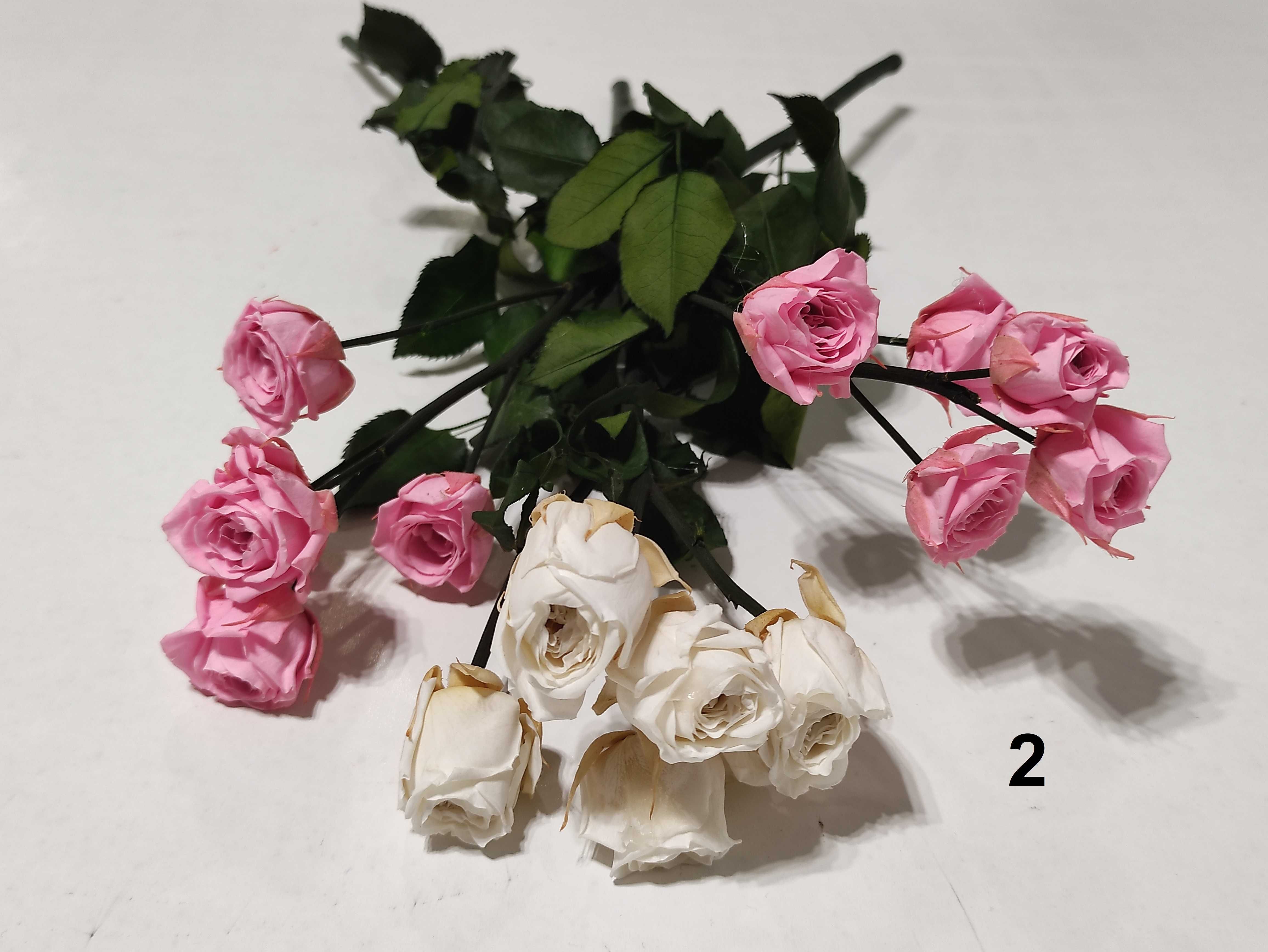Естествени стабилизирани рози и пъпка роза-за подарък, декорация с мъх