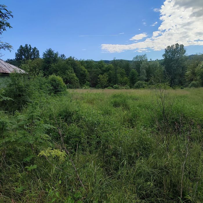 Casa si teren de vanzare
