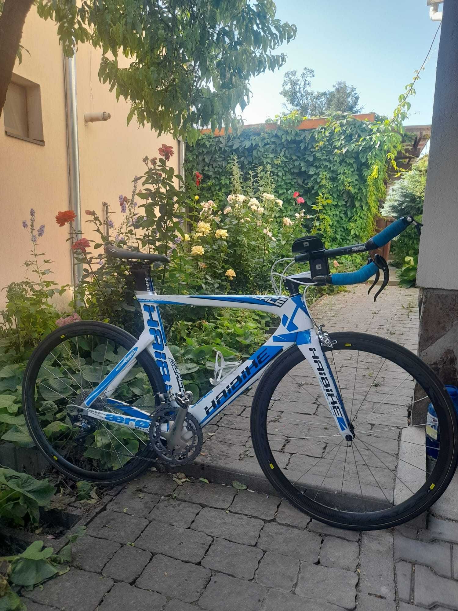 Bicicleta triatlon Haibike