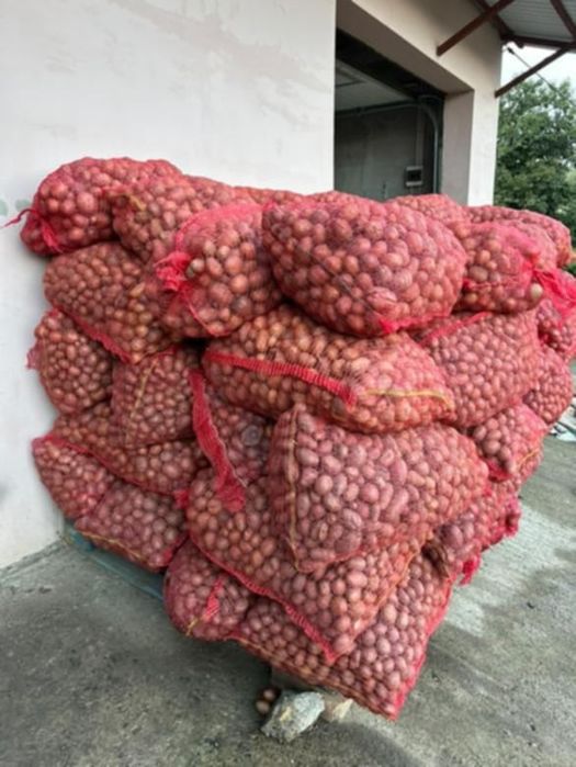 Cartofi animale 0.70 lei kg