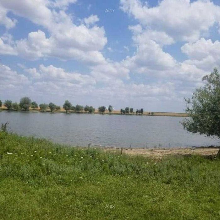 Teren Deschidere la lac 3560mp Com. Berceni Dobreni Vidra
