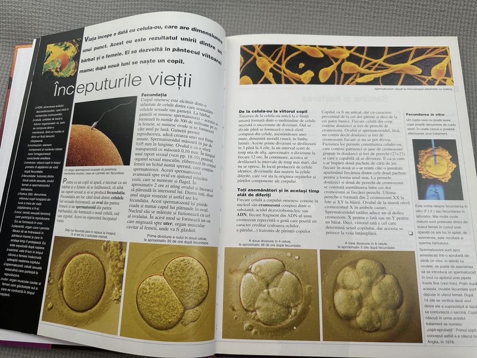 Corpul omenesc - Enciclopedia pentru tineri