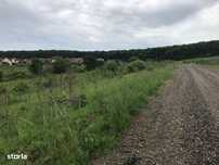 Teren intravilan cu PUZ rezidențial 2400mp deschidere de 80m neparcel.