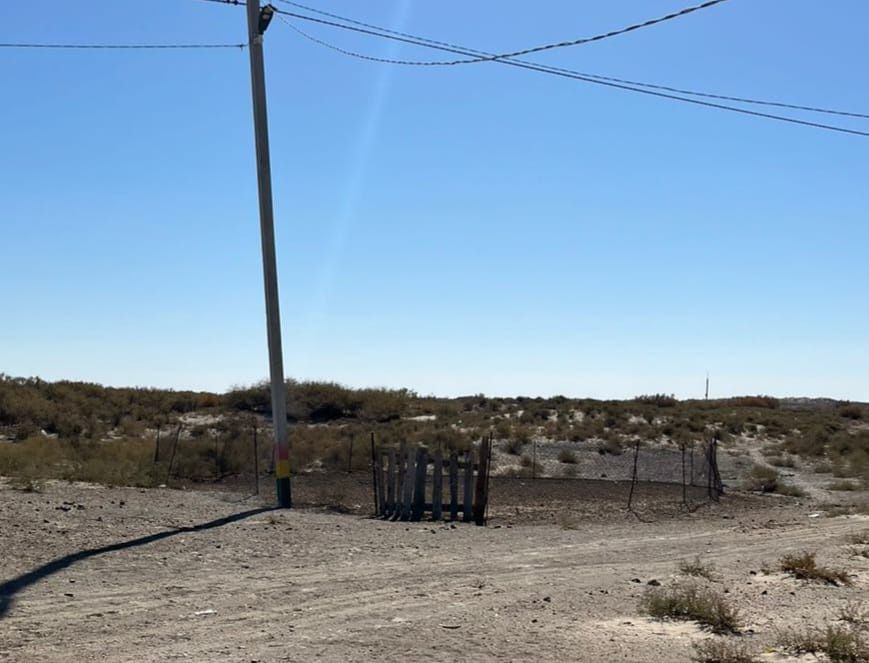 Сетка (қораға арналған) сатылады