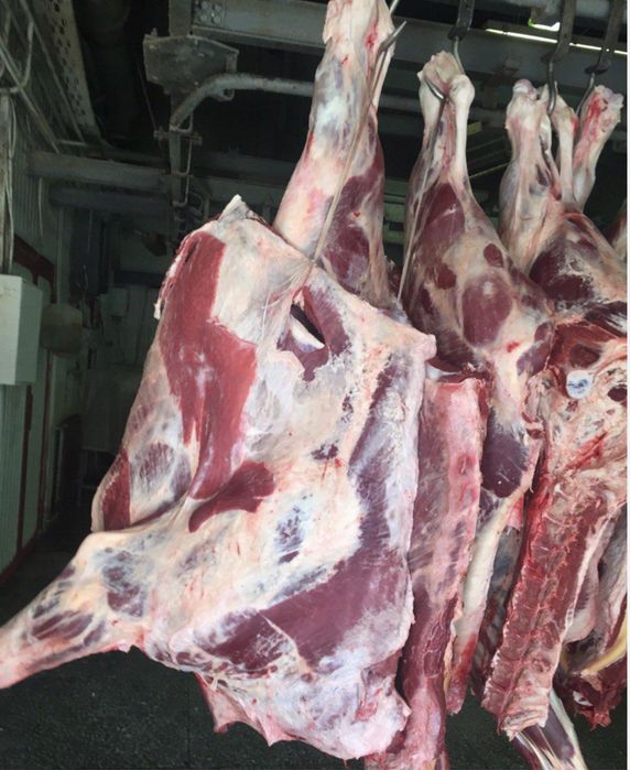 Согым  Жилик Мясо говядины мясо из Талдыкургана