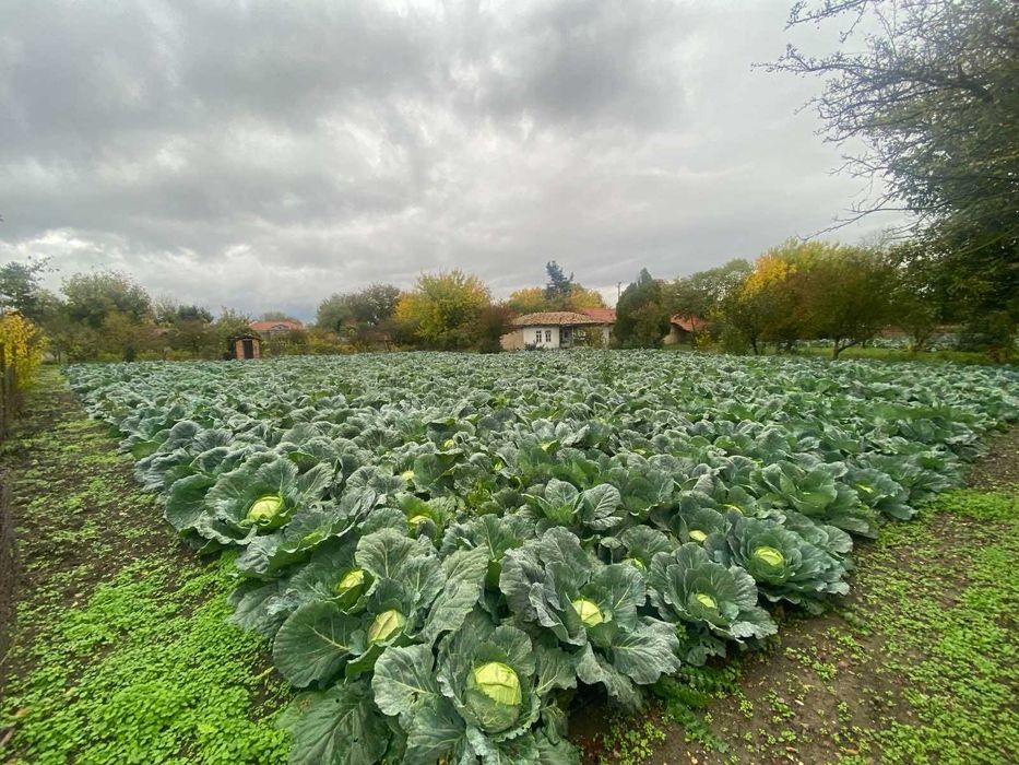 Продава се Къща в Варна, Левски - 100 кв.м за 500 €/кв.м - Снимка #6