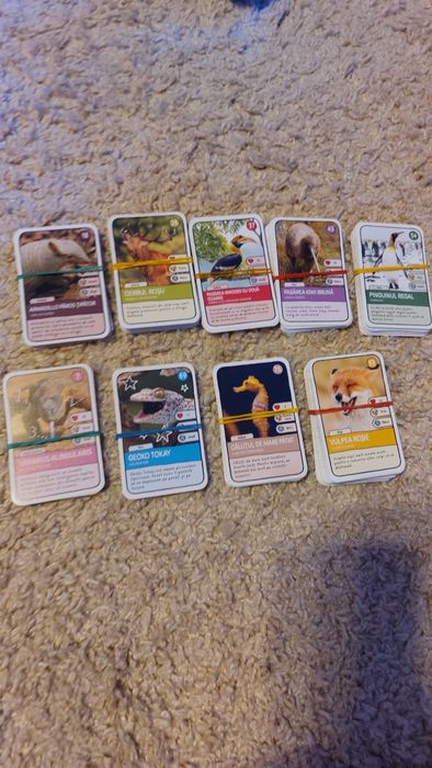 Expeditie in jurul lumii 2 Mega peste 200 de cartonase cu animale