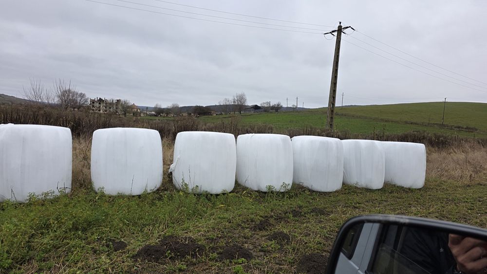 Baloti lucerna înfoliați calitatea 1