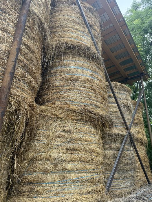 Vand baloti rotunzi 150x150 de lucerna coasa 1, coasa 2 sau amestec