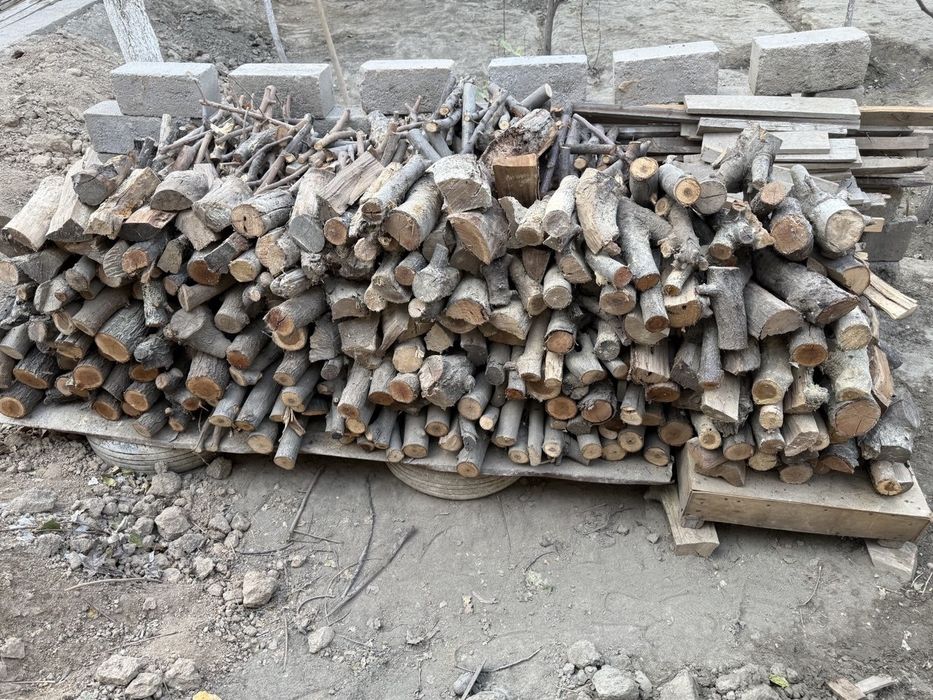 Утин  ( мевали дарахтлар)