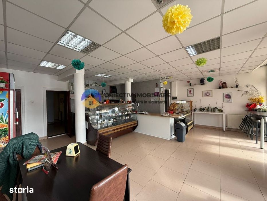 Spatii comerciale de vanzare – Alexandru cel Bun