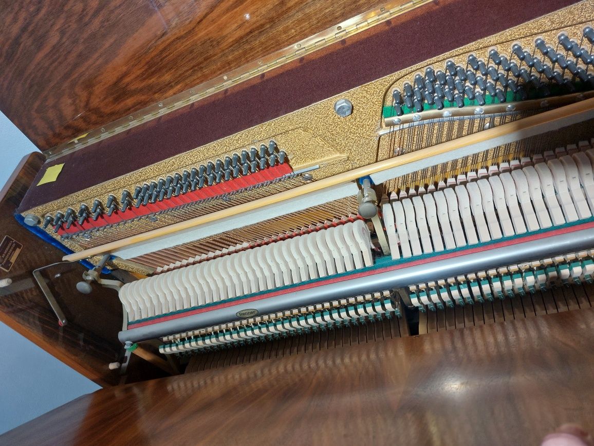 Pianina Nordiska [ transport gratuit, garanție)