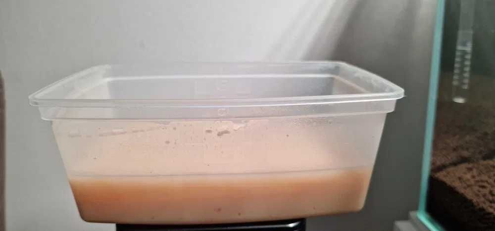 Culturi Microviermi, HRANA VIE pentru PESTI