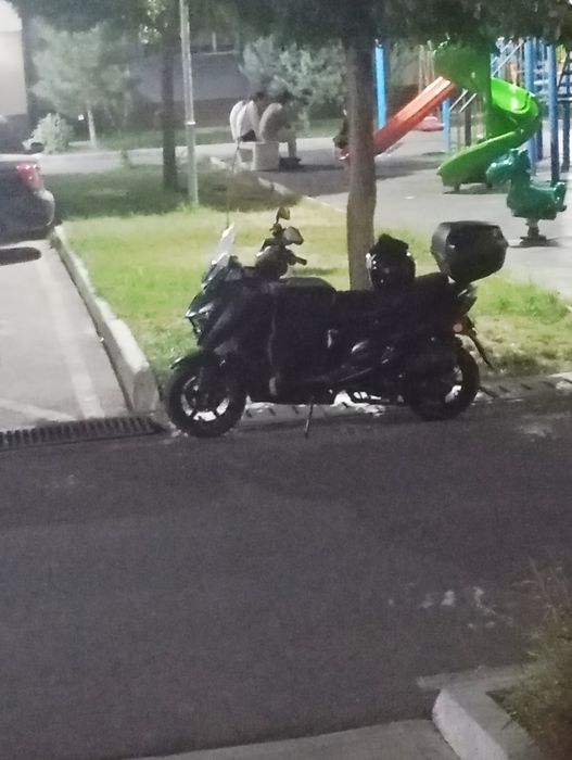 Stelmax 150 cc q max