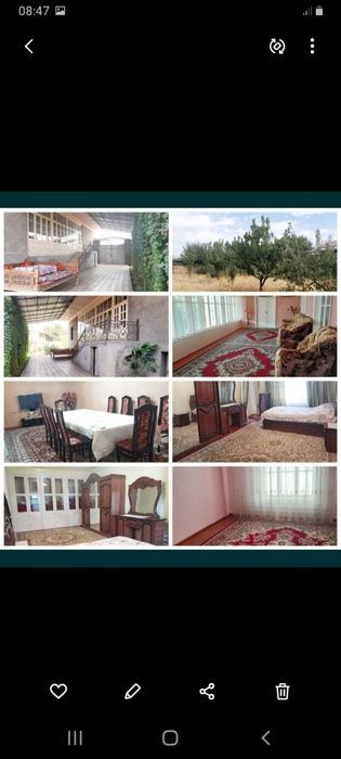 Toshkent tumani Ko'k Terak da Yer sotiladi