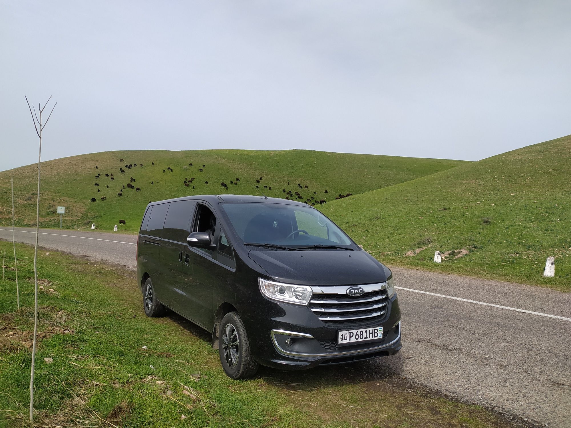Mikroavtobus miniven taksi toqqa