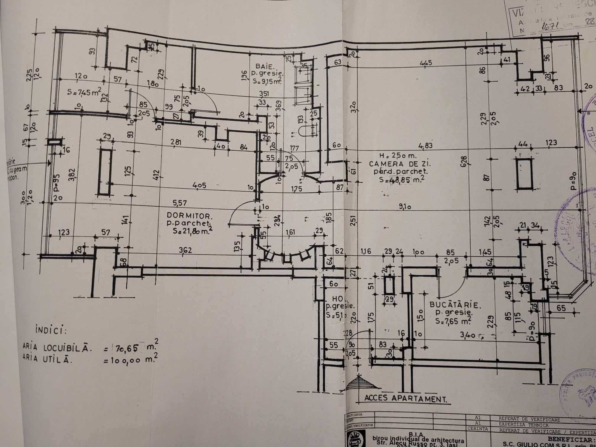 Apartament 2 camere, 100 mp, Bulevard Nicolina - Rond Vechi
