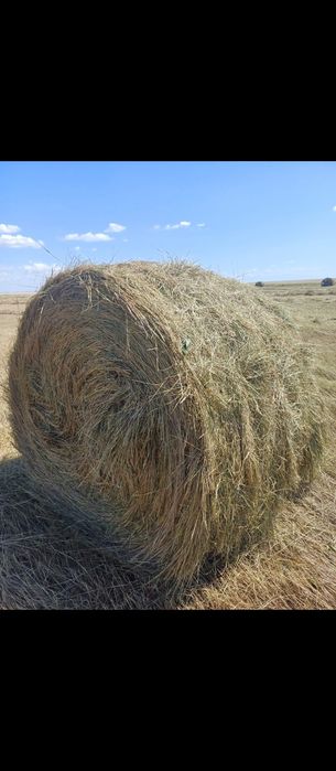 Сено в рулонах есть доставка .Доставка договорная .Беру за раз 51 руло