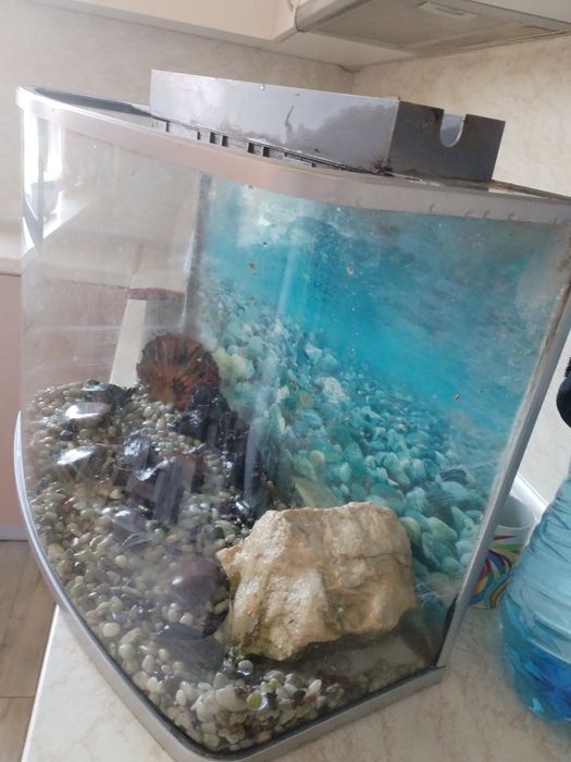 Аквариум с капак