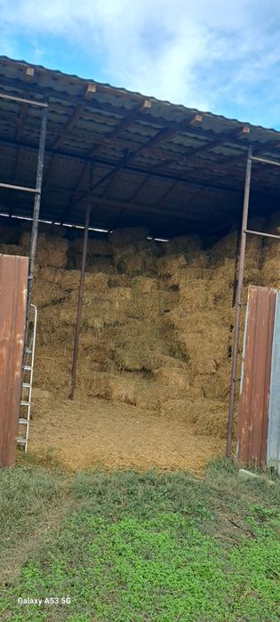 Vand Baloti Lucerna coasa 1 si coasa 2