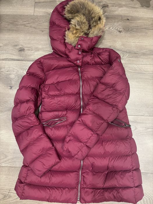 Марково яке Eddie Pen - Италия