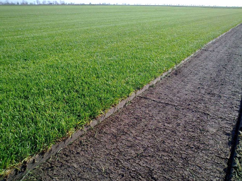 Gazon Rulou Sisteme de Irigare Profesionale Oriunde in tara