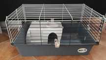 Cusca rozatoare porcusor 70 cm