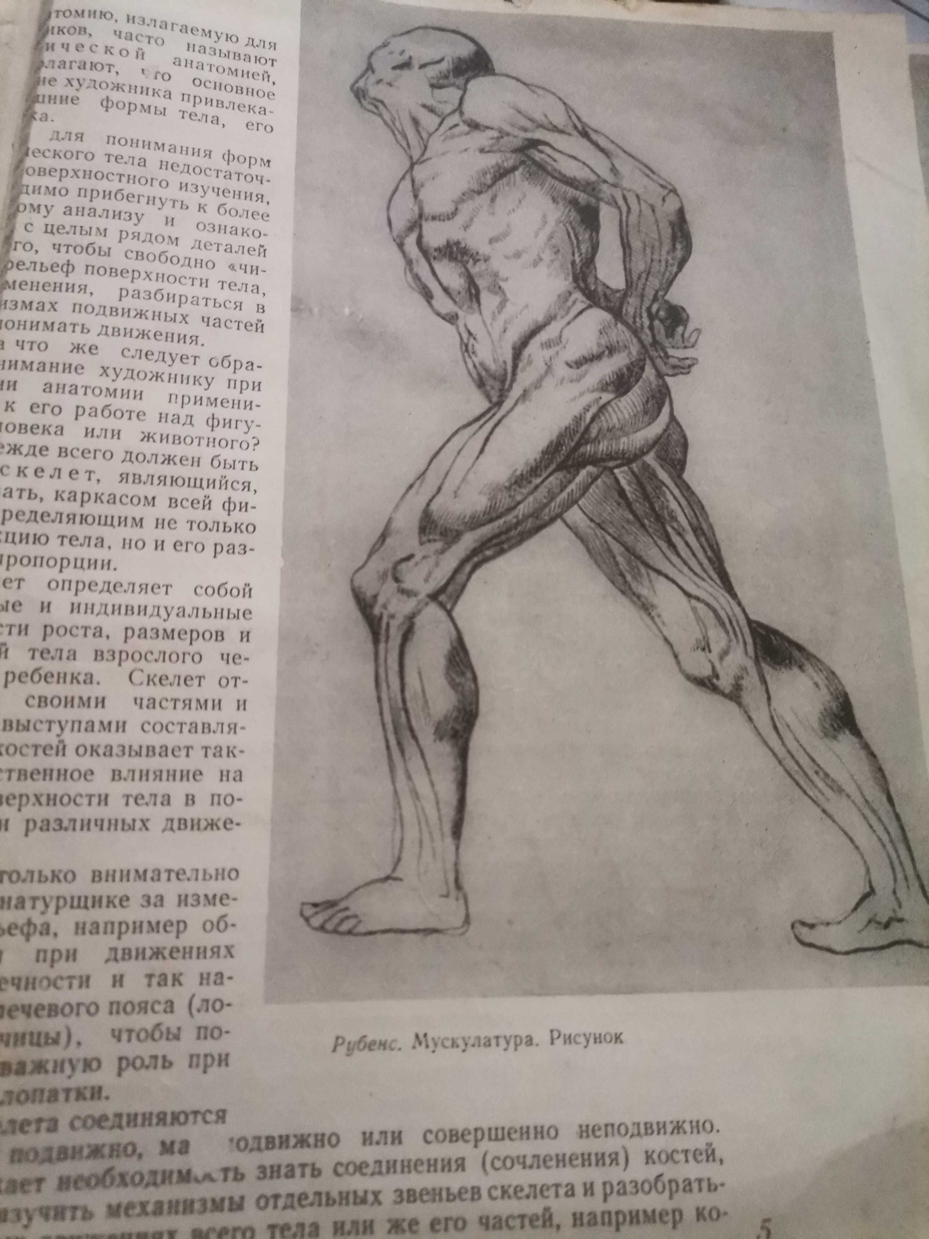Анатомически атлас за художници