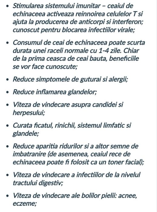 Echinaceea Purpurea răsad și ceaiuri