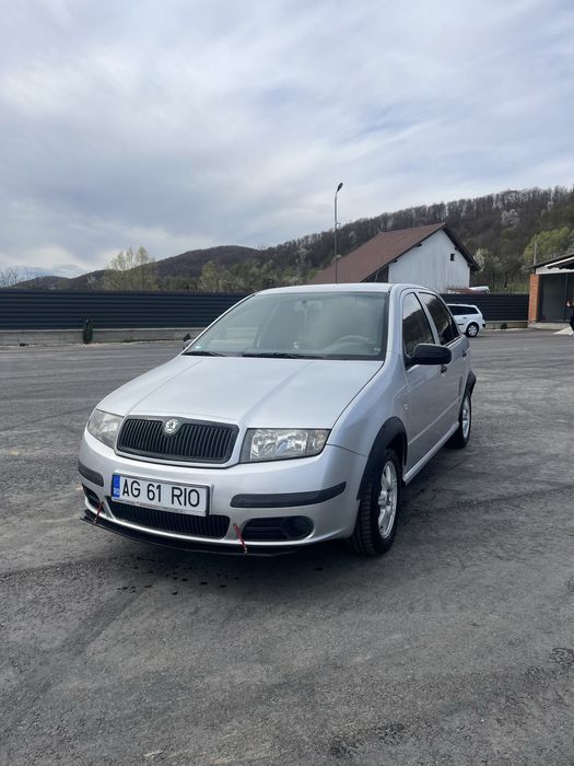 Vand skoda fabia 1