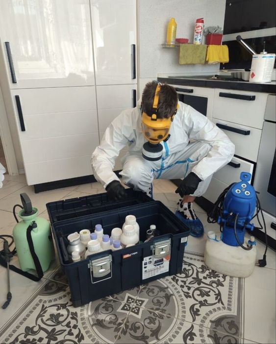 Оброботка от Крыс И Мышей Уничтожение Истребление Грызунов Дезинфекция