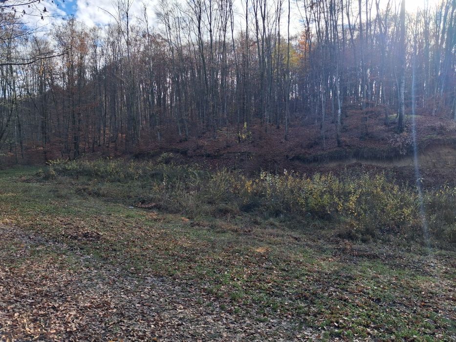 Teren intravilan 409 mp + 5000 mp pădure la intrare în Curtea de Argeș