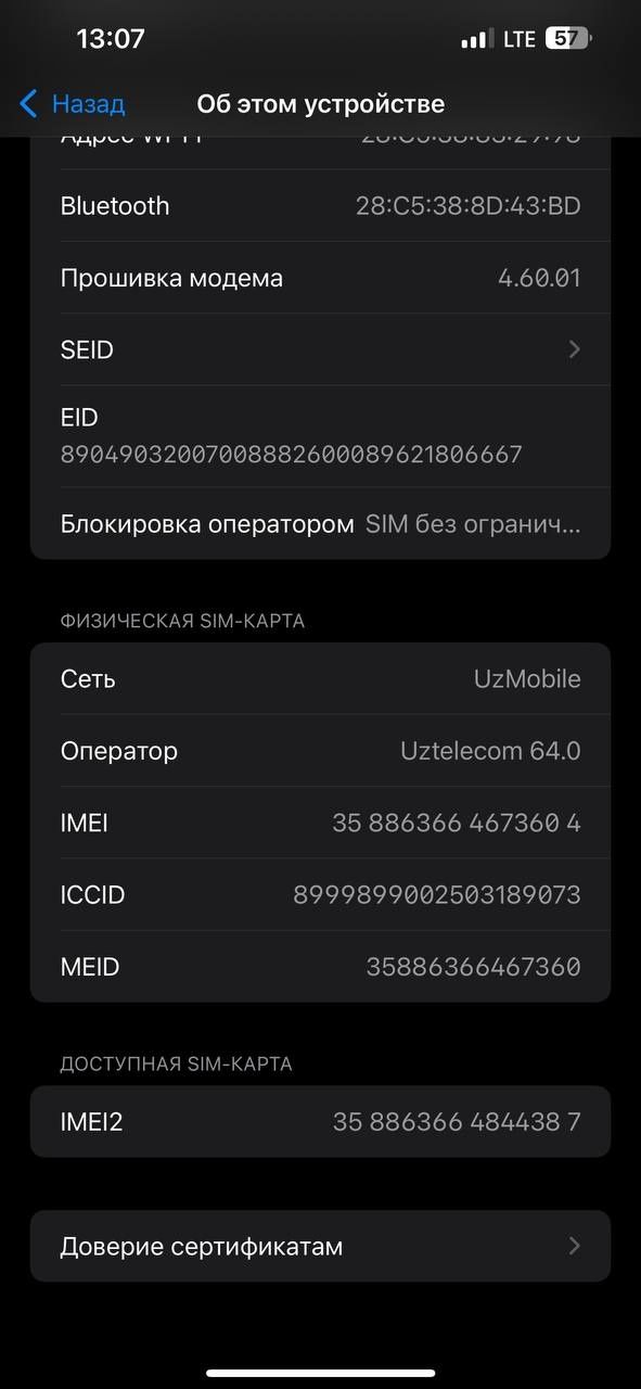 iPhone 13 pro max ideal