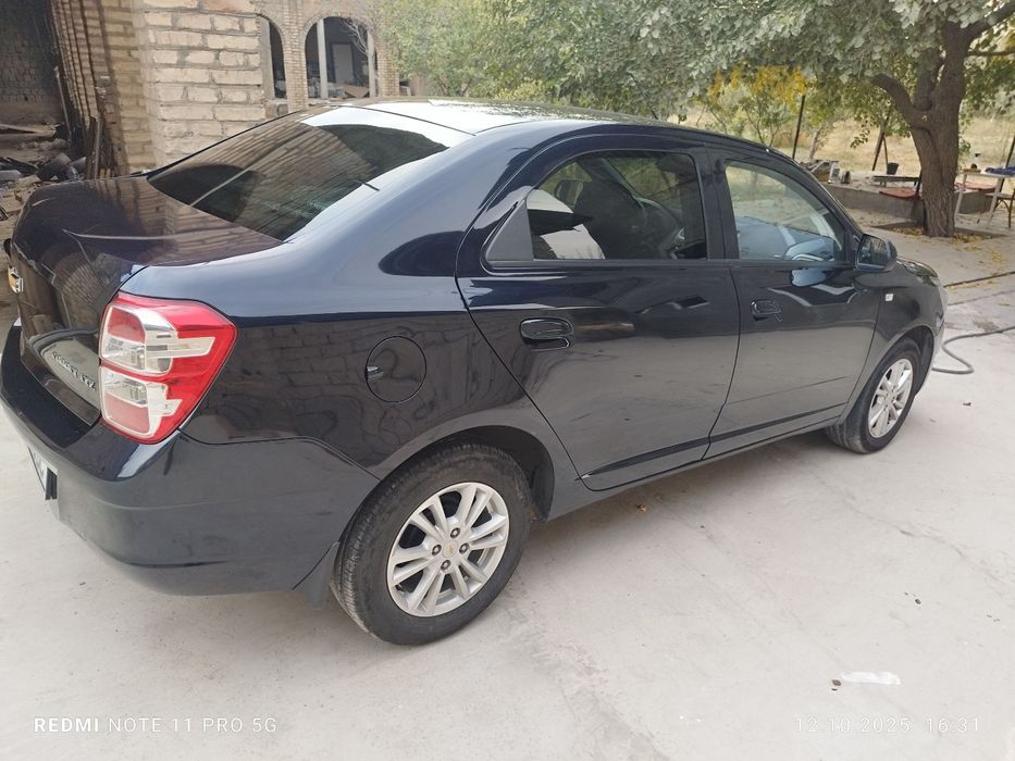 2023 краска тозза