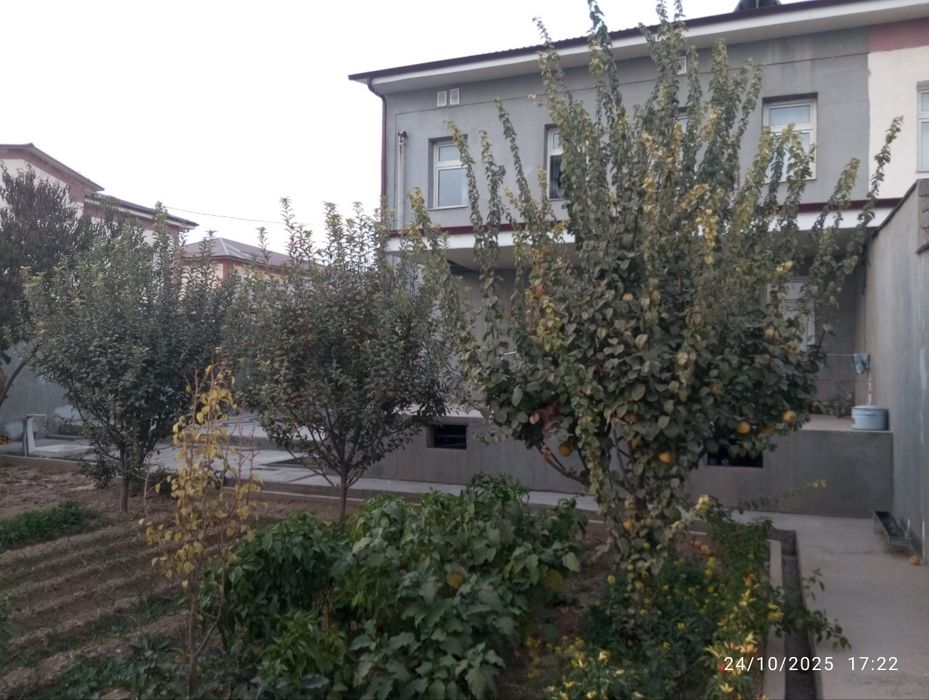 Uy-joy xovli sotiladi srochna