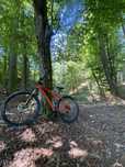 Bicicleta MTB Boardman 29 L