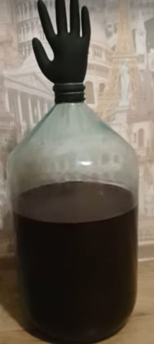 В.И.Н.О 12 выдержки