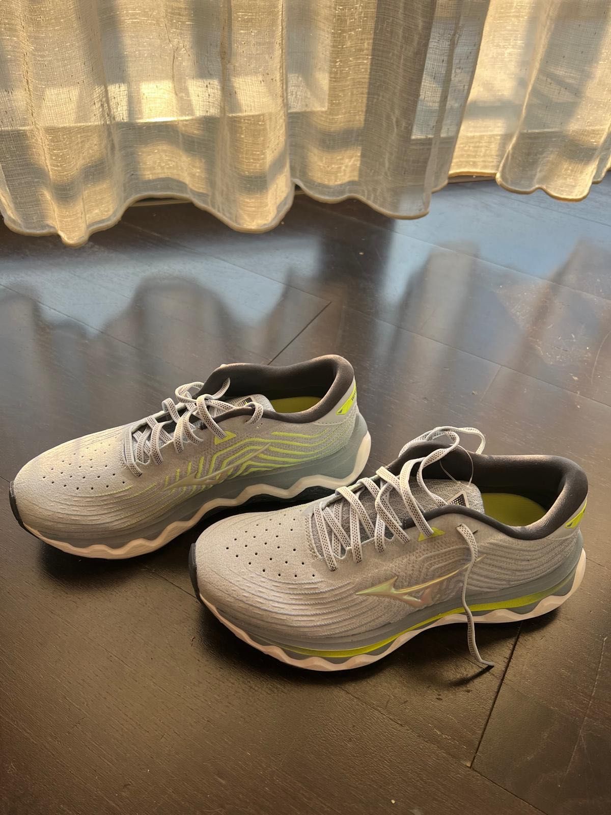 Adidasi Mizuno Wave Horizon 6