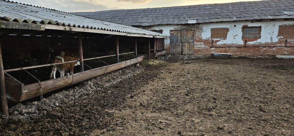 De vânzare grajd in Șiria.