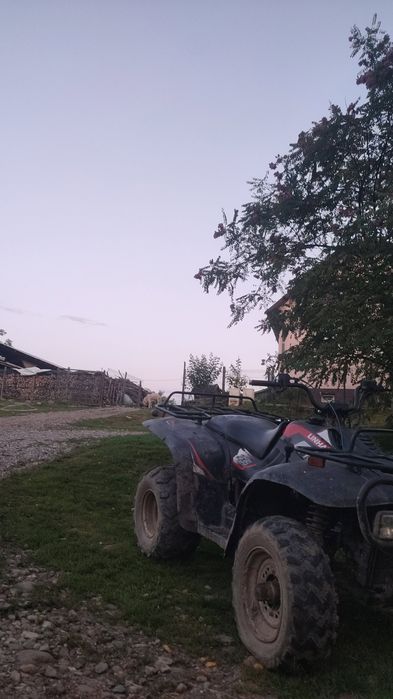 Linhai 300cc 2x4