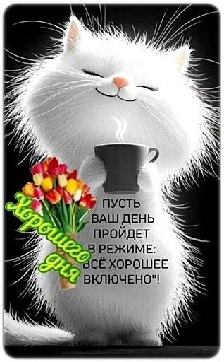 Котята от элитной кошки